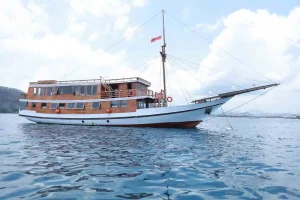 Aimar Cruise