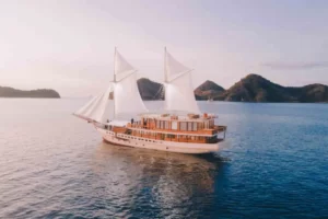 Elbark Cruise