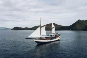 Navila
