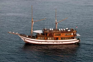 Neptune Cruise