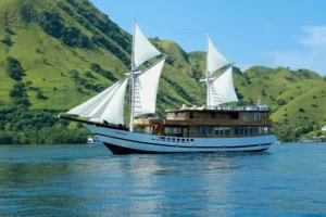 Raffles Cruise