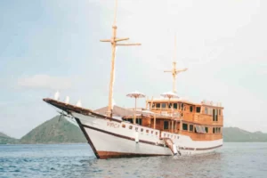 Vinca Voyages