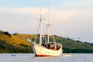 Majik Cruise