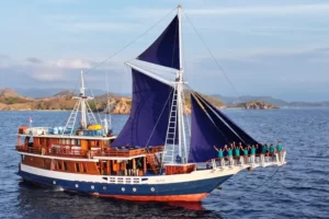Calico Jack