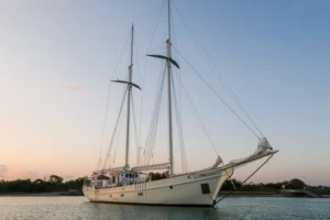 Sea Safari 6