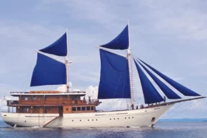 Sea Safari 8