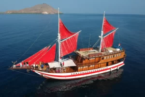 Mola-mola 2