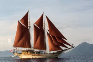 Mutiara Cruise