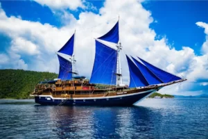 Aliikai Voyage