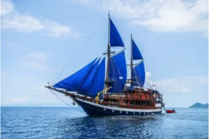 Nayara Cruise