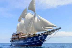 Ocean Pure 1
