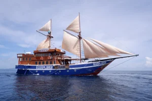EcoExplorer