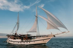 Moana Cruising
