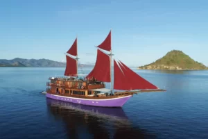 Neomi Cruise