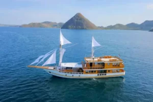 Barakati Cruise