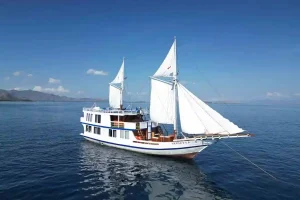 Invictus Voyage