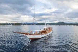 Narasea